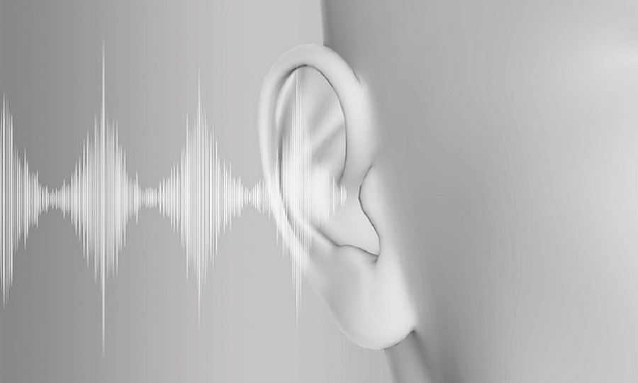 Ucho do którego trafiają fale akustyczne